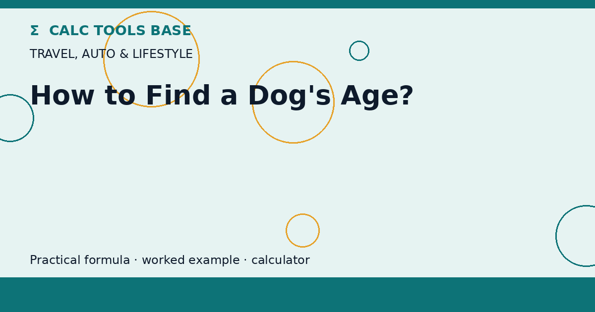 How To Find A Dog's Age?